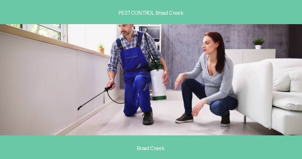 PEST CONTROL Broad Creek